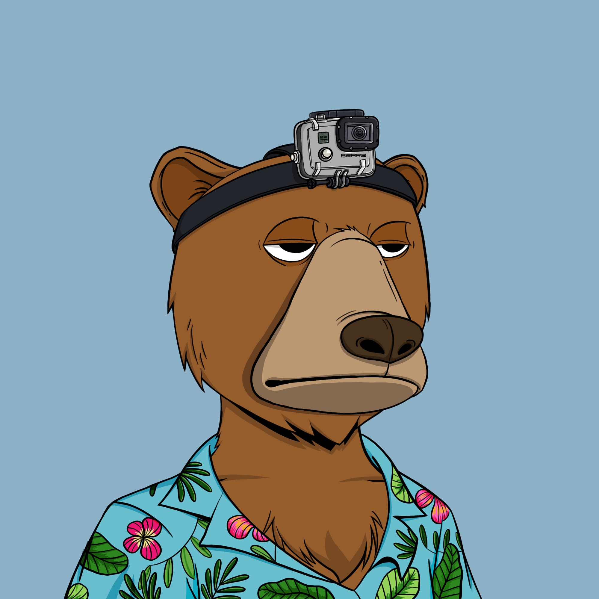 Okay Bear #1308