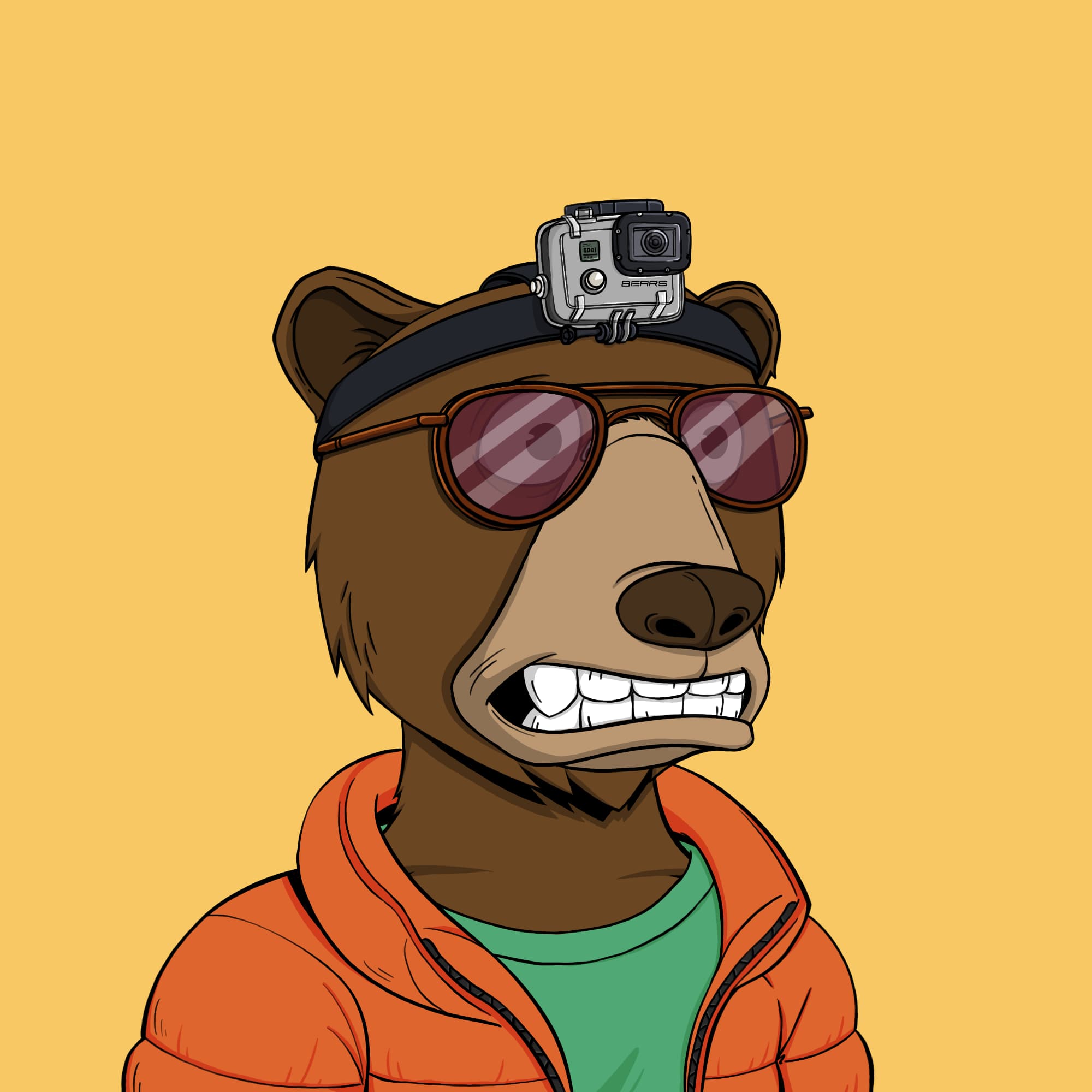 Okay Bear #2289