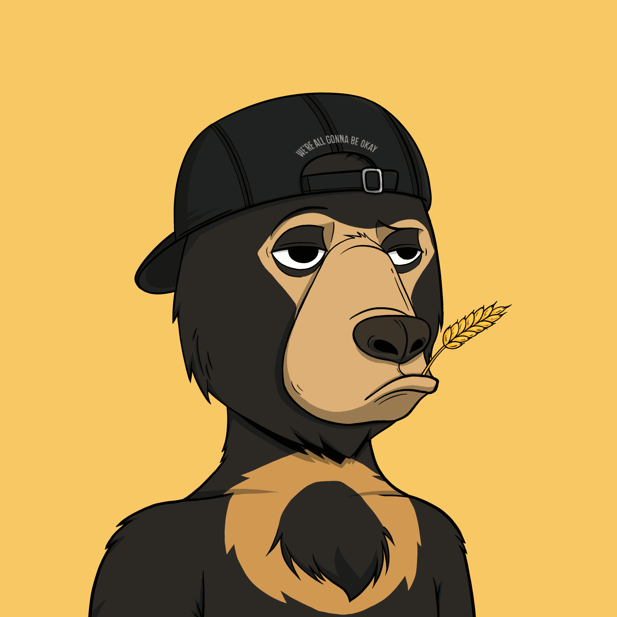 Okay Bear #2765