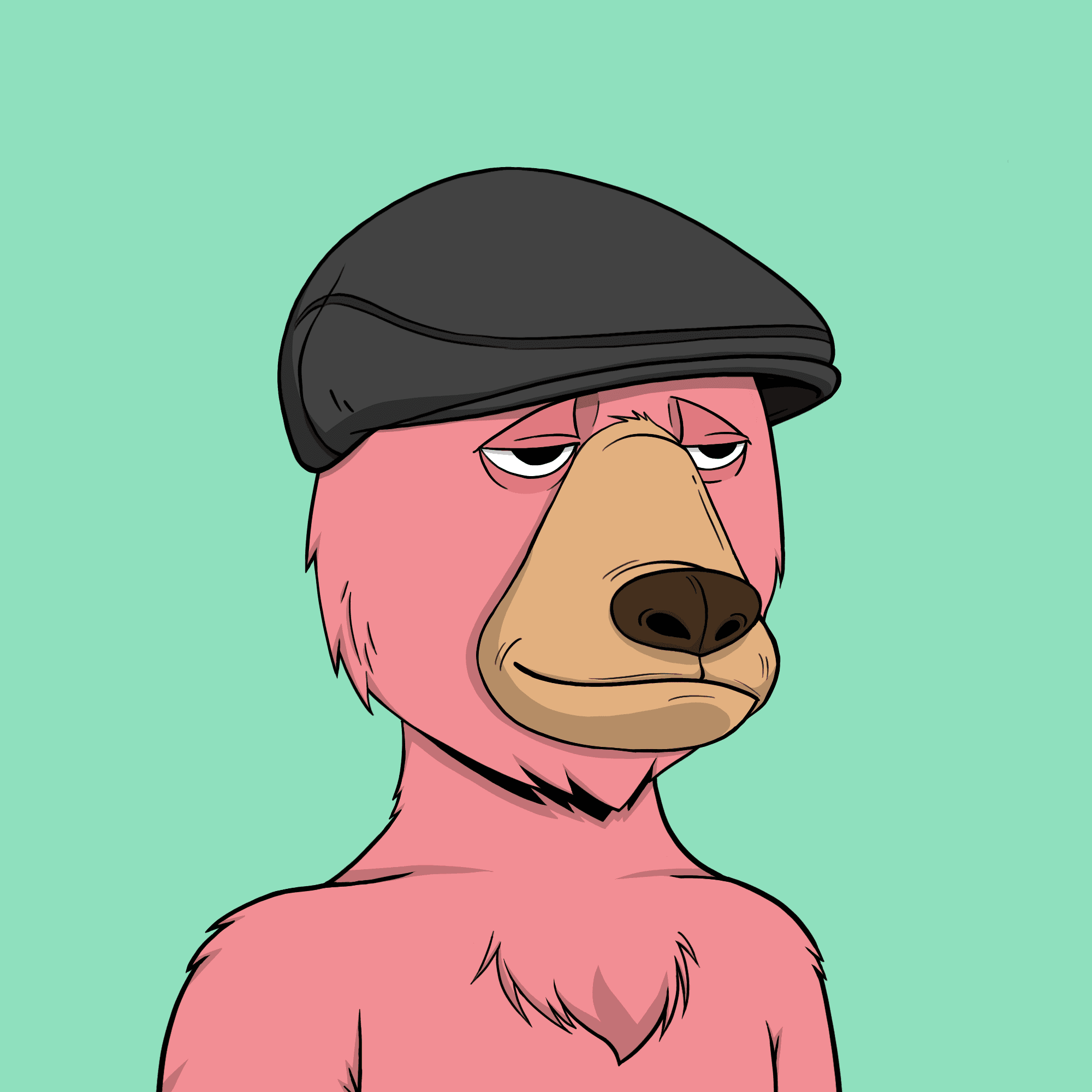 Okay Bear #2848