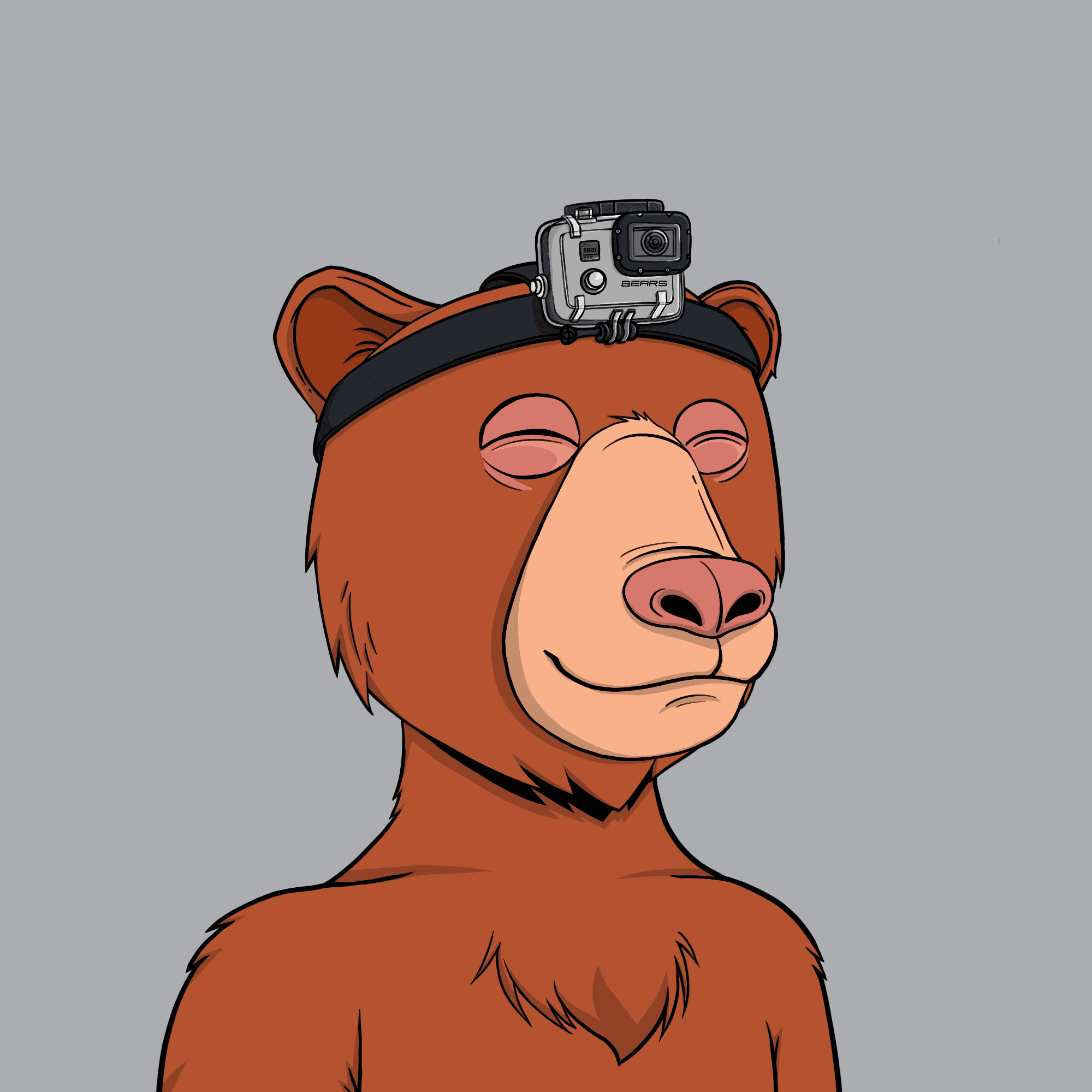 Okay Bear #4262