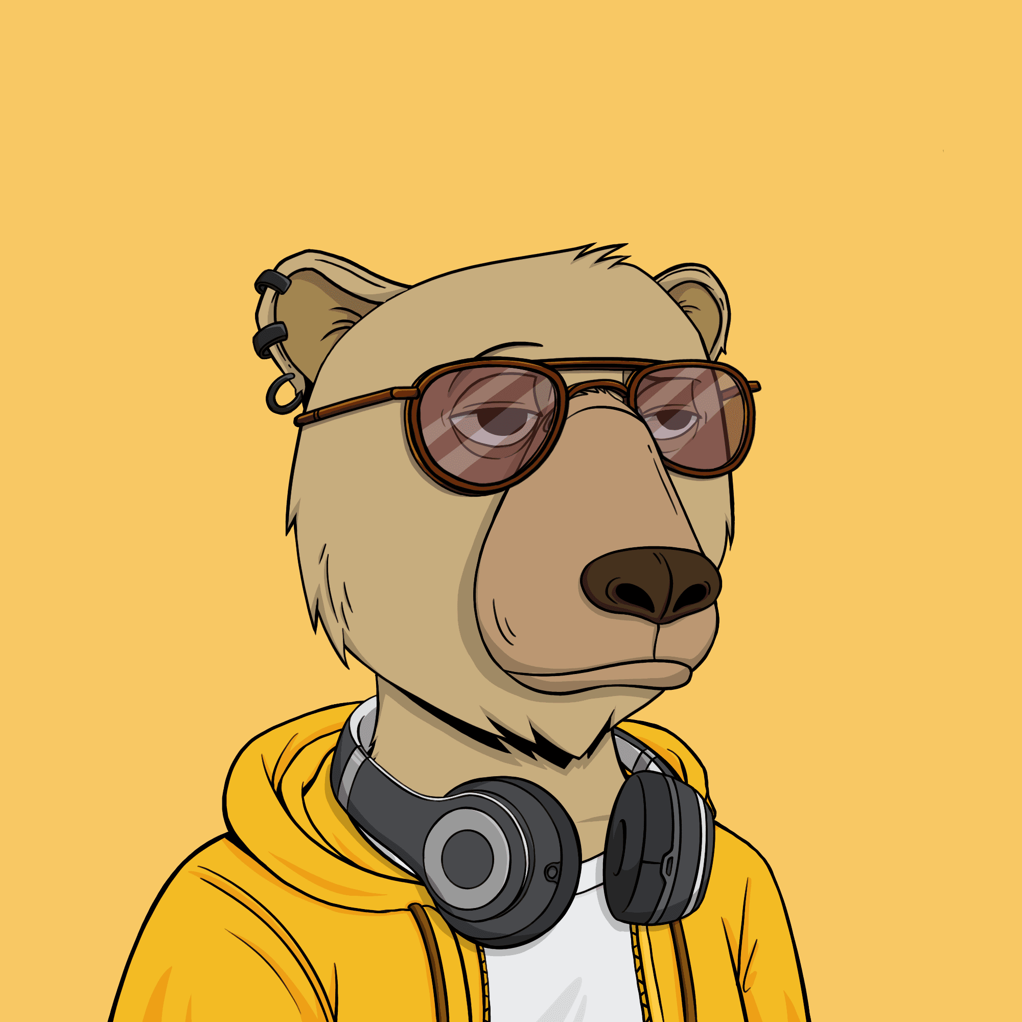 Okay Bear #738