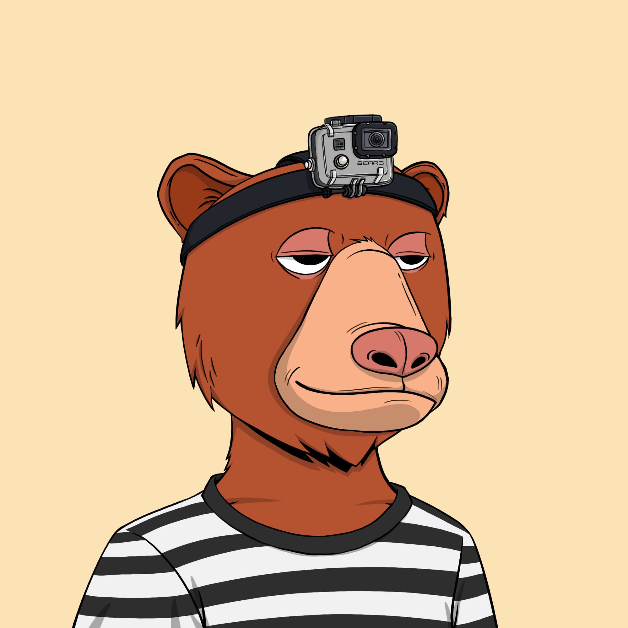 Okay Bear #8799